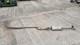 2016 Vauxhall Astra Full Exhaust System Mk7 1.6 Diesel B16dte 2015-2021 13478023