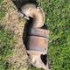 Astra GTC VXR 2.0 Catalytic Converter Genuine Vauxhall