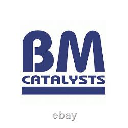 Genuine BM Cats Front Exhaust Pipe BM50761