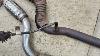 Vauxhall Astra 1 6 Se 2012 Center Exhaust With Flexi Pipe Replacement Diy Repair